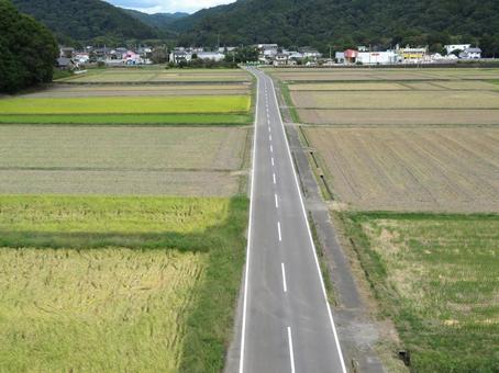 水田の中の道路 水田の中の道路 道路,直線,水田の写真素材