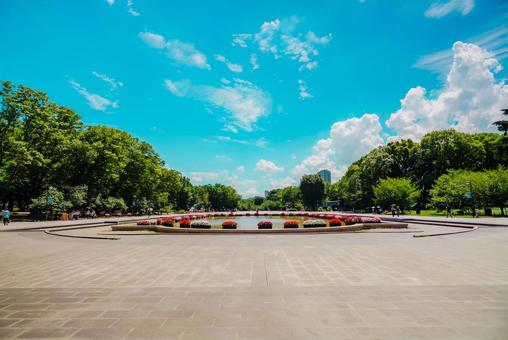 【東京】上野公園 2025 【東京】上野公園 2025の写真