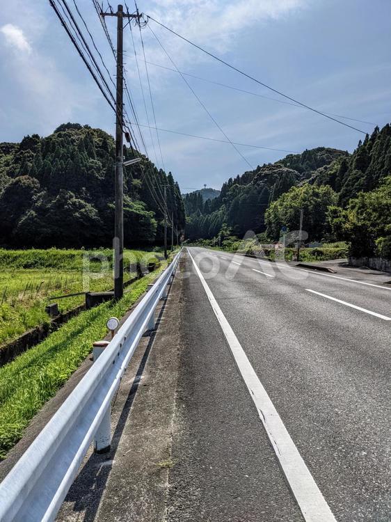 畑が広がる中を走る道路が森の中に長く続いて伸びていく道の楽しいドライブ 道路,直線,まっすぐの写真素材