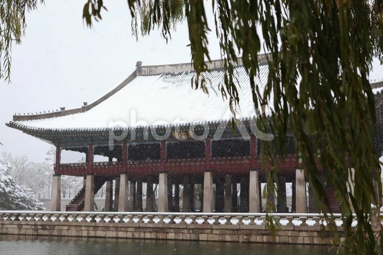 雪が積もった慶会楼と柳 冬,ソウル,韓国の写真素材