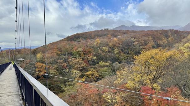 彩り 吊橋,つつじ吊り橋,紅葉の写真素材