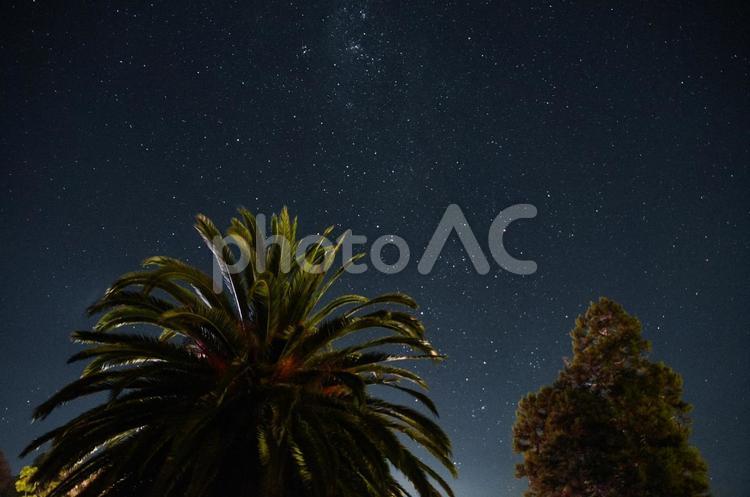 ヤシの木と星空 星空,夜空,空の写真素材