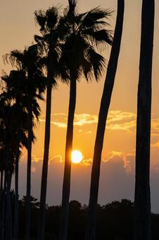 Setting Sun, JPG Setting Sun, JPG
