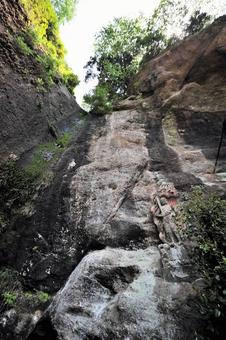 秩父観音院 秩父観音院 観音院,植物,自然の写真素材