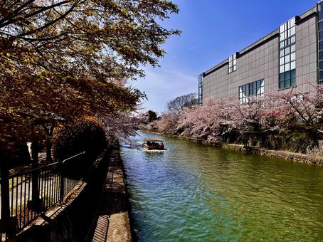 Spring in Kyoto, JPG Spring in Kyoto, JPG