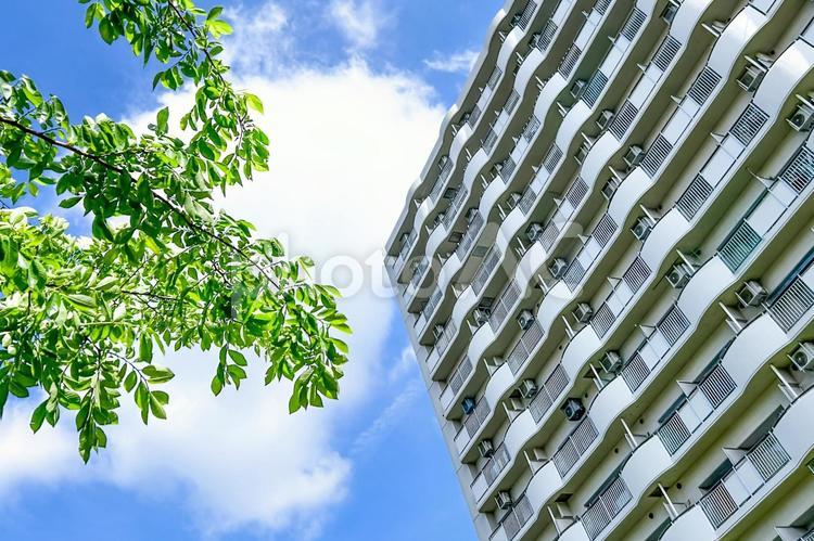 そびえ立つUR賃貸住宅と緑の木々と青空 集合住宅,マンション,ur賃貸住宅の写真素材