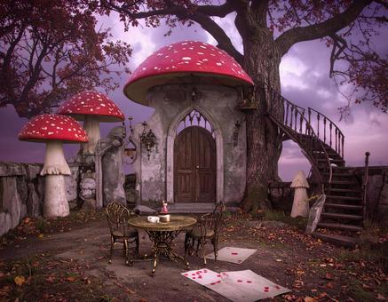 魔女の森 魔女の森の写真