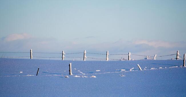 牧場の雪原に立ち並ぶ白いオブジェ 雪原,牧場,フェンスの写真素材