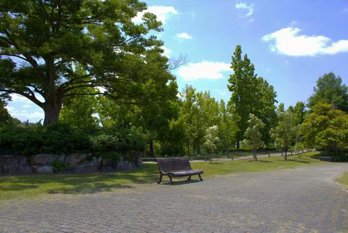 Bench in the park, JPG Bench in the park, JPG
