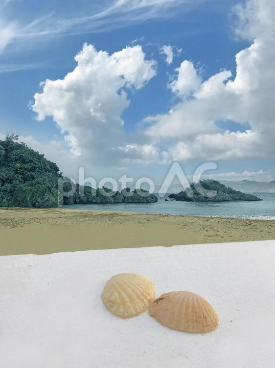 沖縄の砂浜と貝がら 沖縄,浜,砂浜の写真素材