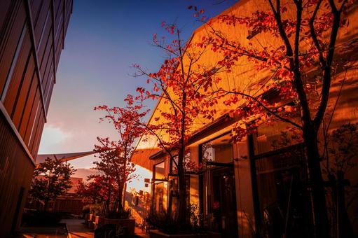 秋の紅葉と都市景観 秋の紅葉と都市景観 紅葉,建物,木々の写真素材