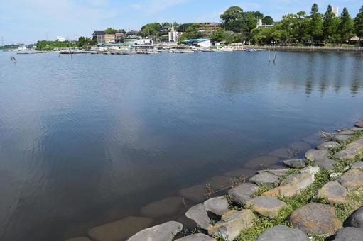 手賀沼 利根川水系 手賀沼 利根川水系の写真