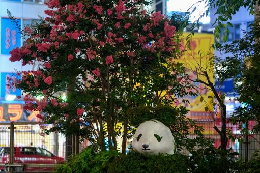 上野駅前の夜景 上野,駅前,上野恩賜公園の写真素材