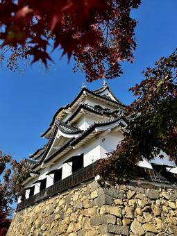 彦根城 彦根城 城,彦根城,青空の写真素材