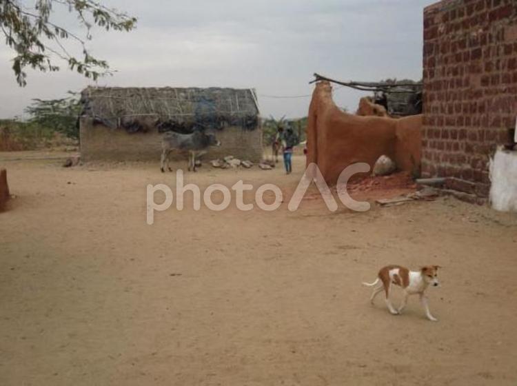 インド　タール砂漠の住居　5 タール,砂漠,民家の写真素材