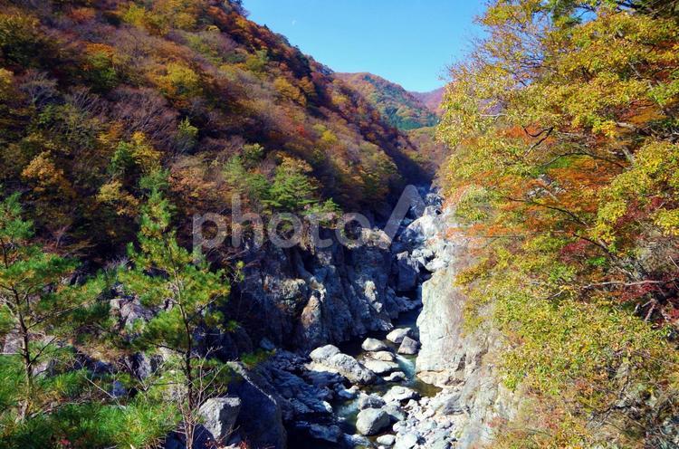 栃木県　紅葉シーズンの龍王峡　渓谷美 龍王峡,鬼怒川,きぬがわの写真素材