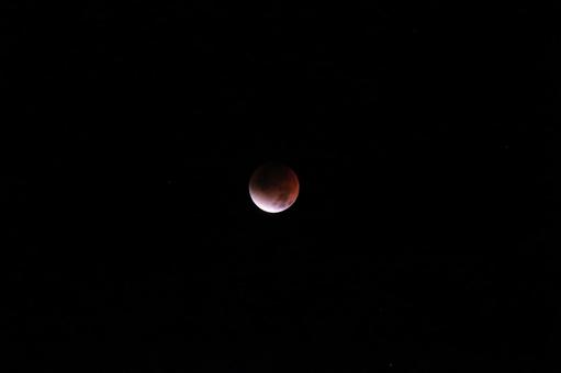 2025年9月8日 皆既月食 観察 2025年9月8日 皆既月食 観察の写真