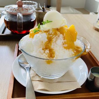 バニラアイスのせマンゴー練乳かき氷 バニラアイスのせマンゴー練乳かき氷 バニラ,アイスクリーム,スイーツの写真素材