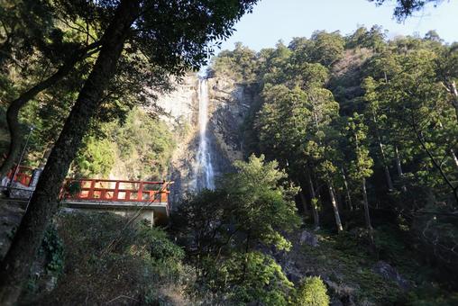 那智の大滝 那智の大滝の写真