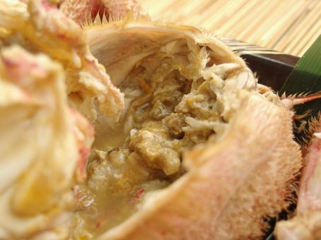 毛蟹 海鮮 毛蟹 海鮮 毛蟹,海鮮,カニの写真素材