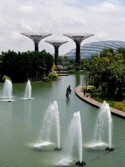 シンガポールの旅 シンガポールの旅 シンガポール,ガーデンズ・バイ・ザ・ベイ,植物園の写真素材