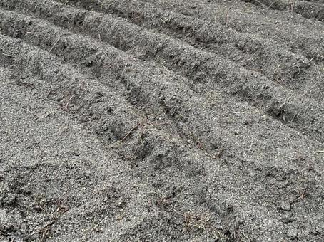 耕された土の畝 園芸,花壇,畝の写真素材