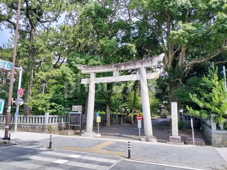 駿河国三之宮 御穗神社　静岡市清水区三保 御穂神社,三保松原,静岡県の写真素材