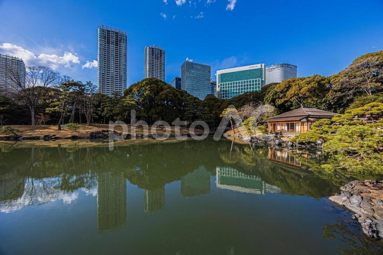都市景観 都市景観,都市風景,浜離宮恩賜庭園の写真素材