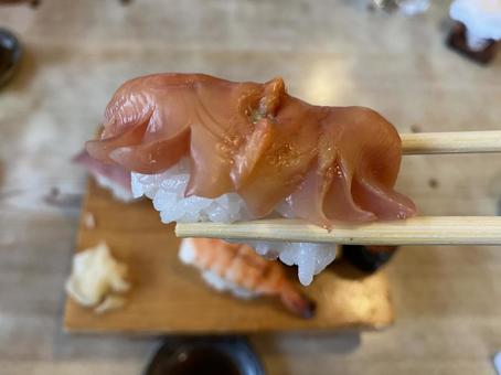 Photo, ark shell, nigiri sushi, shell, 