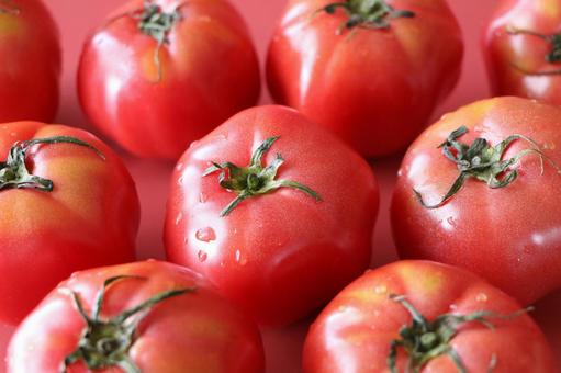 Lots of fresh tomatoes, JPG Lots of fresh tomatoes, tomato, tomato food, simple, JPG