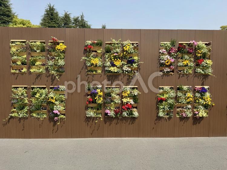 日比谷公園　芝生広場の壁掛け花壇 彩,東京,芝生の写真素材