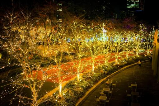 並木道のイルミネーション イルミネーション,ライトアップ,夜景の写真素材