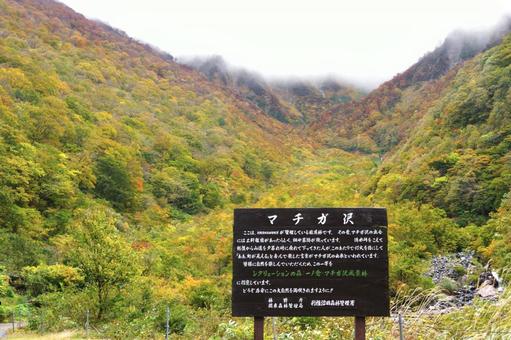 【紅葉】一ノ倉沢ハイキング（マチガ沢） 秋,紅葉,谷川岳の写真素材
