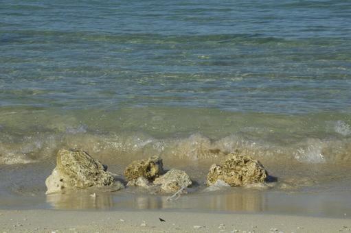 波打つ海辺 波打つ海辺 海,ビーチ,海岸の写真素材
