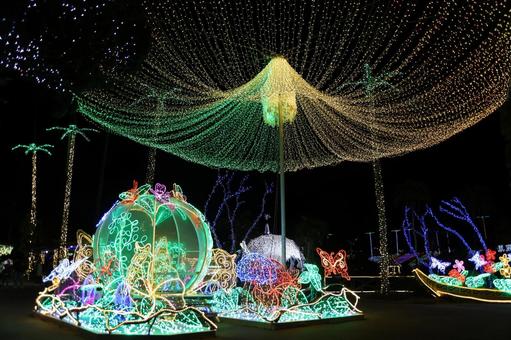 東南植物園楽園のイルミネーションの写真