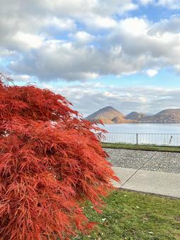 秋の洞爺湖 風景,自然,紅葉の写真素材