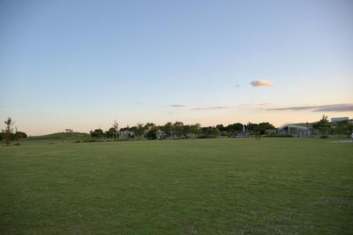 夕方の公園 夕方の公園 公園,緑,夕焼けの写真素材