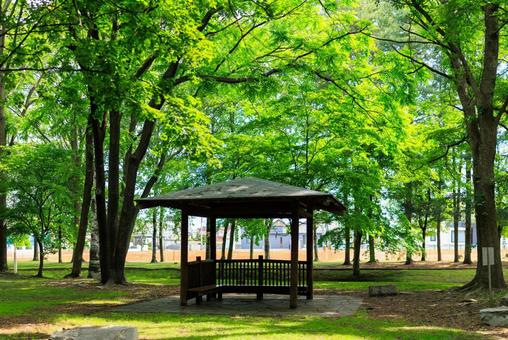 新緑が美しい公園 新緑が美しい公園 新緑が美しい公園,東屋,緑の写真素材