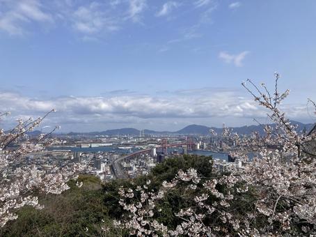 高塔山公園 高塔山公園 若松区大字修多羅,北九州,北九州市の写真素材