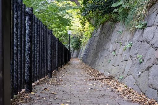 飛鳥山公園の道 風景,道,石垣の写真素材