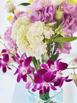 Photo, flour, present, flower, 
