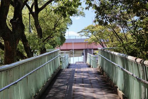 緑の木々の囲まれた歩道橋のある街並み 緑,木々,囲まれたの写真素材
