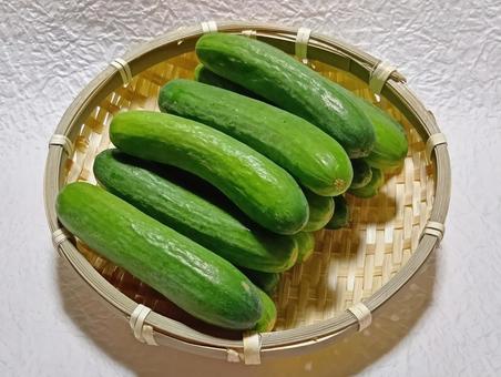 ミニきゅうり ミニきゅうり きゅうり,キュウリ,野菜の写真素材