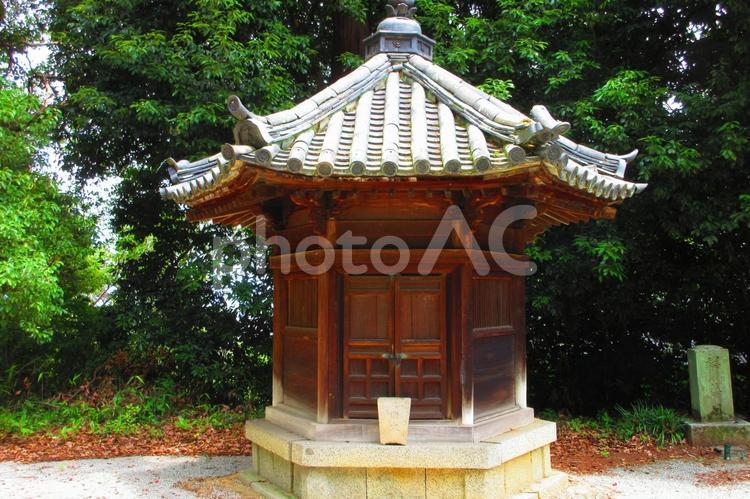 奈良県-當麻寺-奥院-六角堂 當麻寺,寺,二上山の写真素材