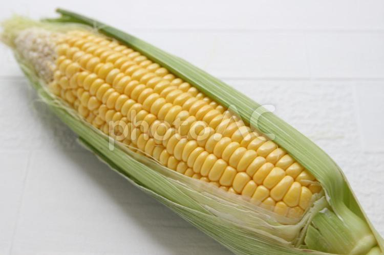 とうもろこし とうもろこし,コーン,食べ物の写真素材