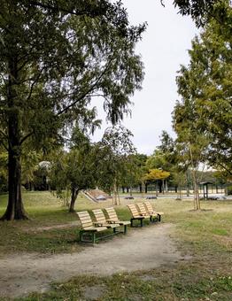 公園のベンチ 公園,ベンチ,風景の写真素材