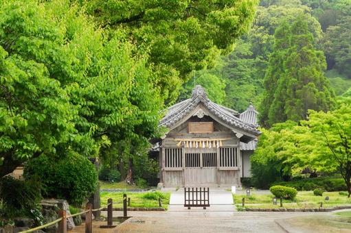 太宰府天満宮の風景 太宰府天満宮の風景 太宰府天満宮,学問の神様,菅原道真の写真素材