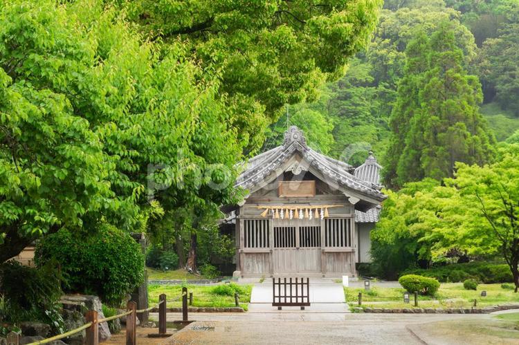 太宰府天満宮の風景 太宰府天満宮,学問の神様,菅原道真の写真素材