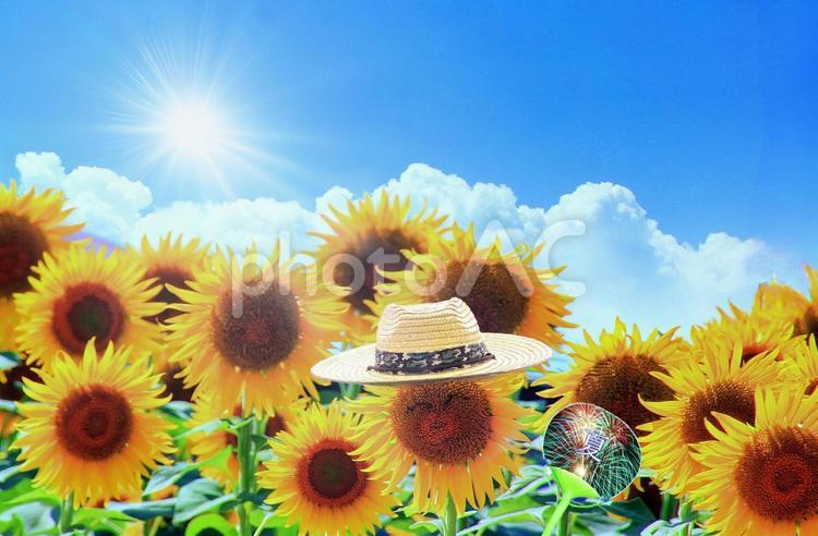 夏イメージ素材/ひまわり君の夏 ひまわり,向日葵,夏の写真素材