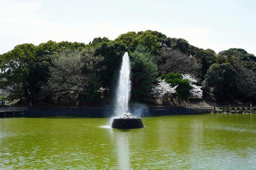 福岡 朝倉 甘木公園 吹き上げる噴水2 甘木公園,丸山公園,噴水の写真素材
